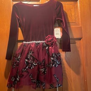 Girl’s burgundy velvet dress